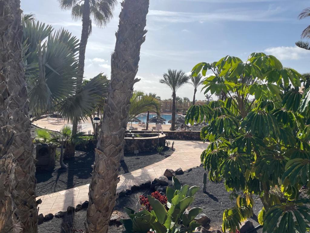 Casa Mari Y Jose Con Grandes Piscinas Y Wifi Gratis Lägenhet Corralejo Exteriör bild