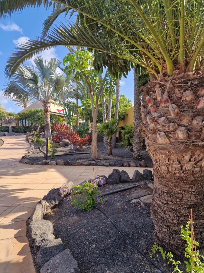 Casa Mari Y Jose Con Grandes Piscinas Y Wifi Gratis Lägenhet Corralejo Exteriör bild